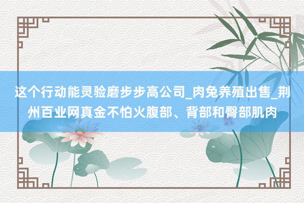 这个行动能灵验磨步步高公司_肉兔养殖出售_荆州百业网真金不怕火腹部、背部和臀部肌肉